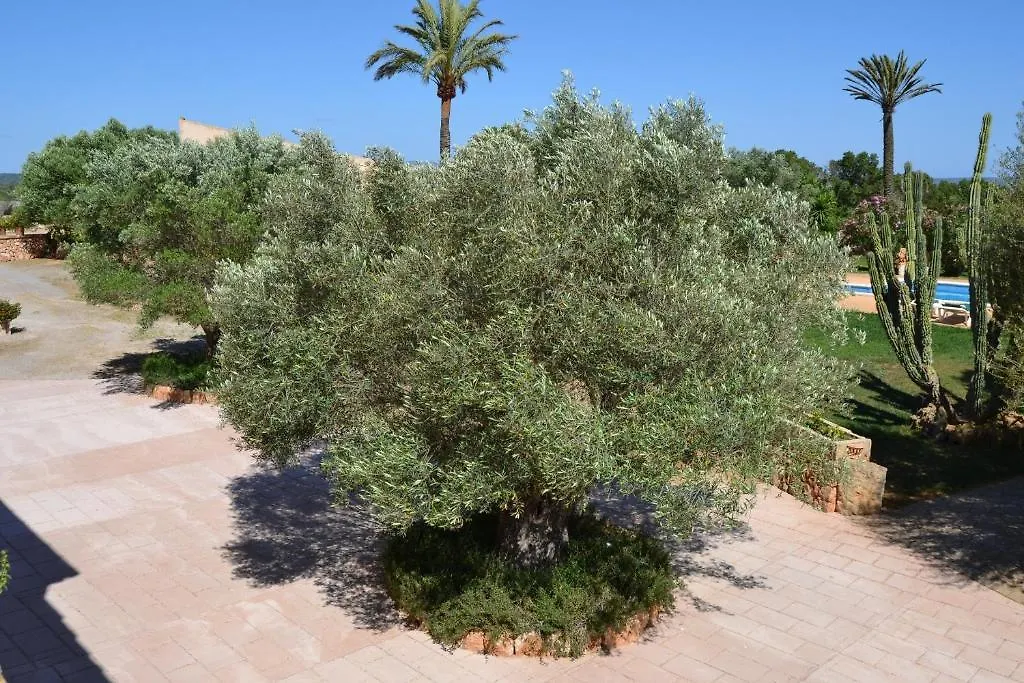 Agroturismo Finca Son Sala Campos  Casa rural Campos (Mallorca)