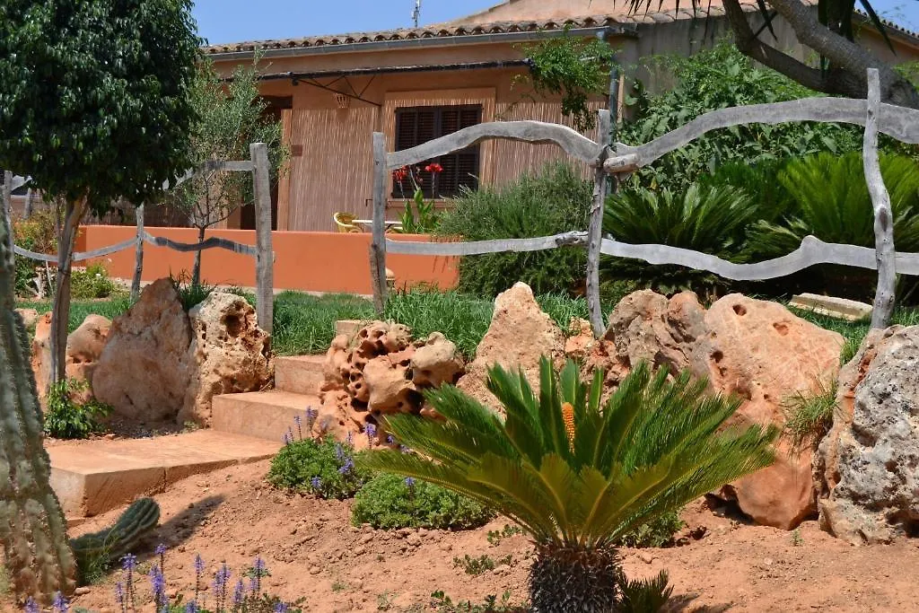 Agroturismo Finca Son Sala Guest House Campos Country house